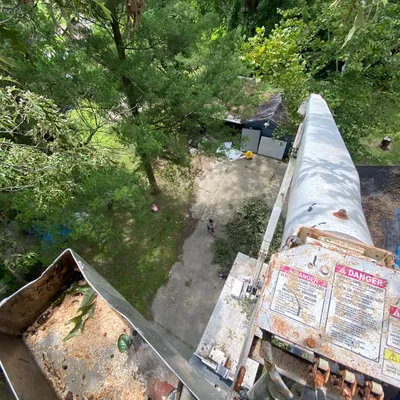 Malletts Tree Service