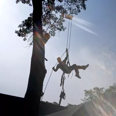 RC TREE REMOVALS