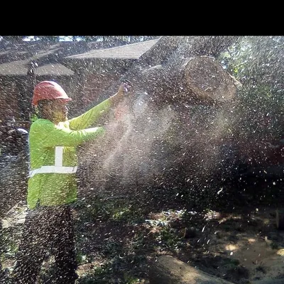 Mitchell Landscaping and Property Services