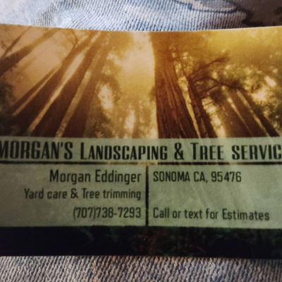 Morgan's property maintenance and Landscaping