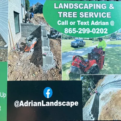 Landscape and tree service