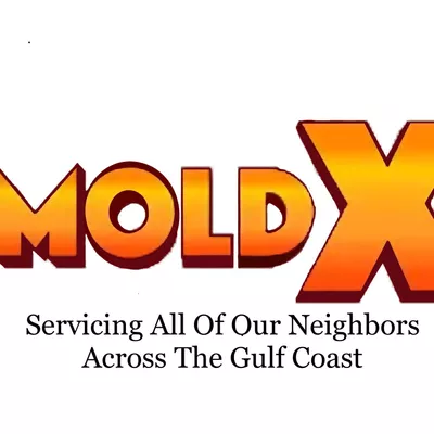 MoldX, LLC