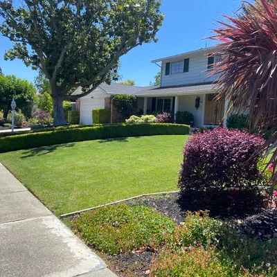 Iniguez Landscaping