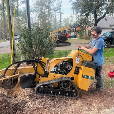 Accurate Tree Service