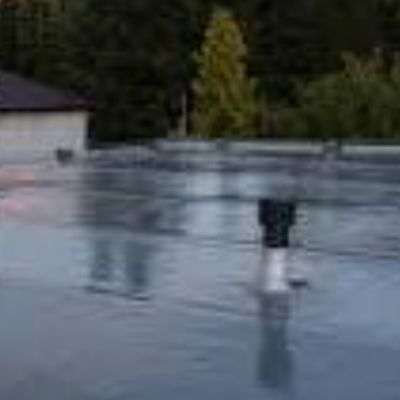 Philly's Phinest Roofing