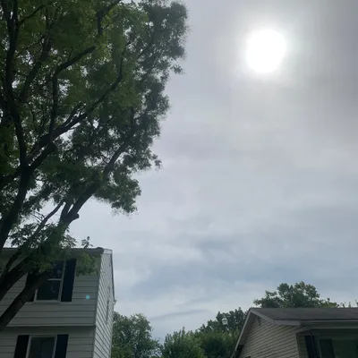Eli’s Tree Service