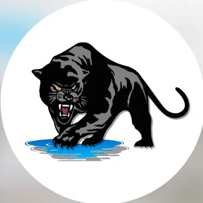 Black Panther Solution’s