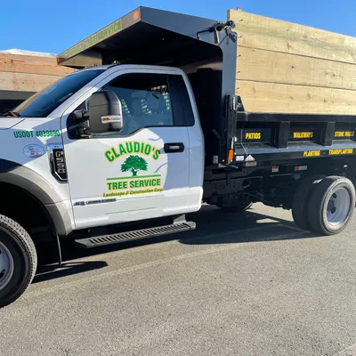 Claudio’s tree service & landscape construction