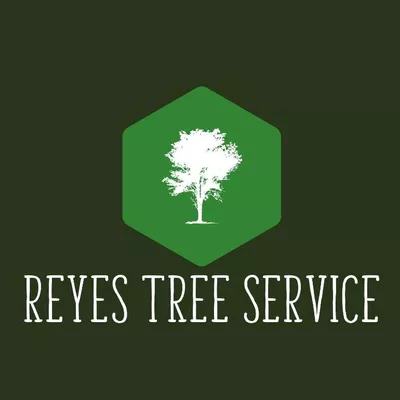 Reyes Tree Service & Stump Grinding