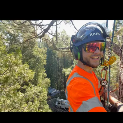 Top Notch Tree Services