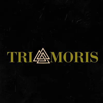 Trimoris drywall pro