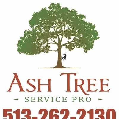 Ash Tree Service Pro