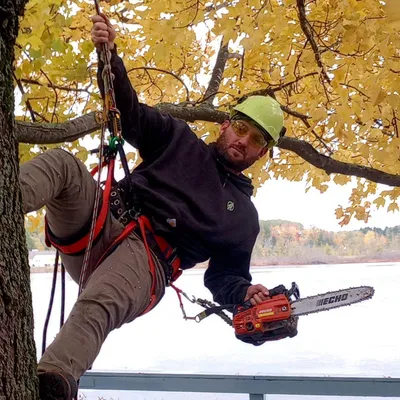 Sleeping Bear Tree Care