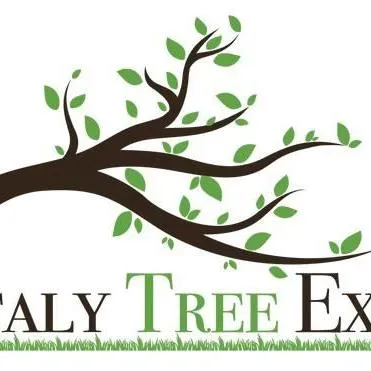 Italy Tree Expert