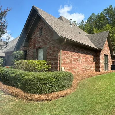 D.A Landscaping & Tree service .