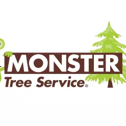 Monster Tree Service of Akron