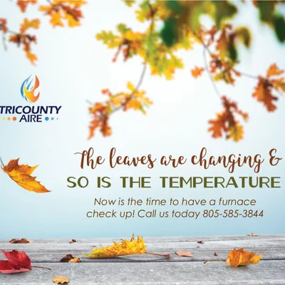 TriCounty Services