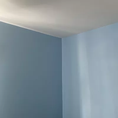 HandyCo