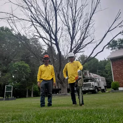 KL Tree Services