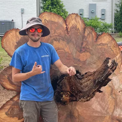 Ace Tree Service