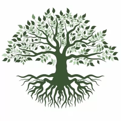 Fast Tree Care