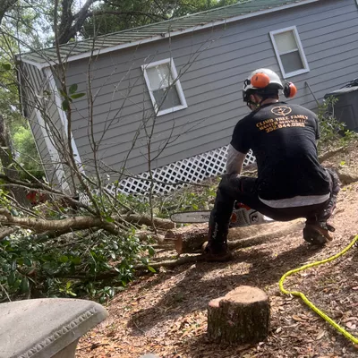 Climb Tree Family Master Service