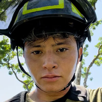 Alex tree service inc.