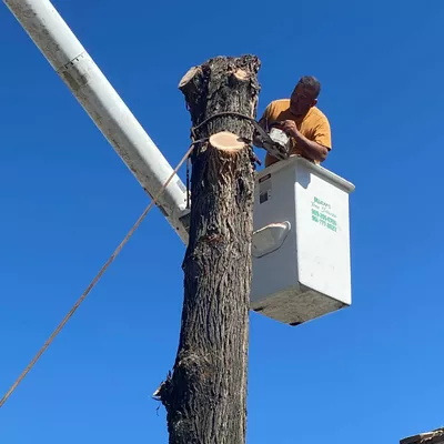 Rudy's Tree Service & Landscaping