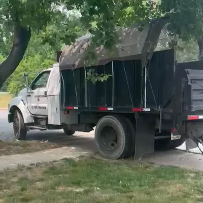 J&G tree services