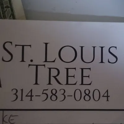 St. Louis Tree