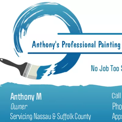 anthonys professional painting llc