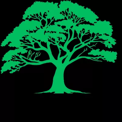 DIAMOND TREE SERVICE