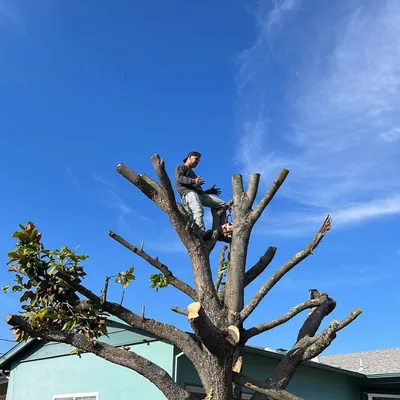 Gutierrez Landscaping