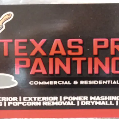 Texas Pro Painting
