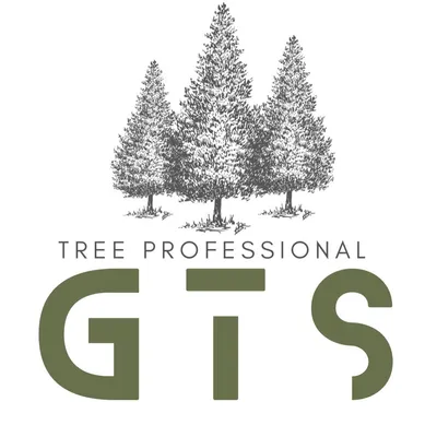 GTS tree professionnal