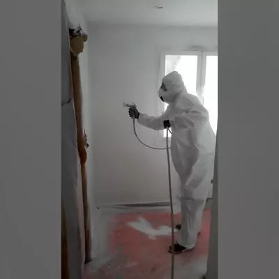 Encizo-Ulloa's Painting INC