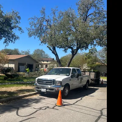 Alpha Tree and Landscaping services
