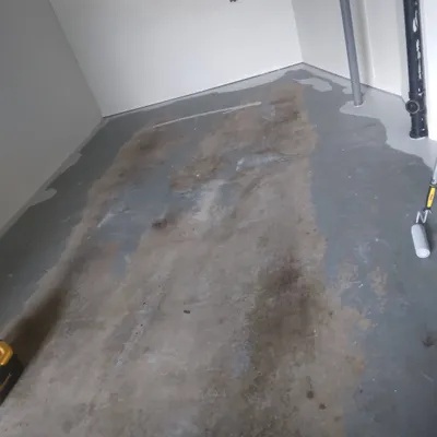 Alpha Paint Company