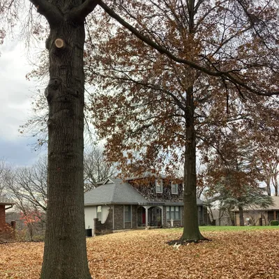 H&B Tree Service and Property Maintenance