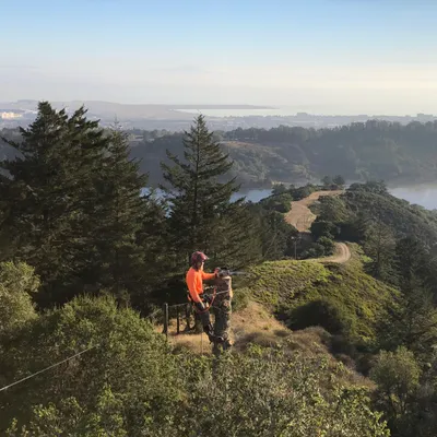 Don’s Tree Care