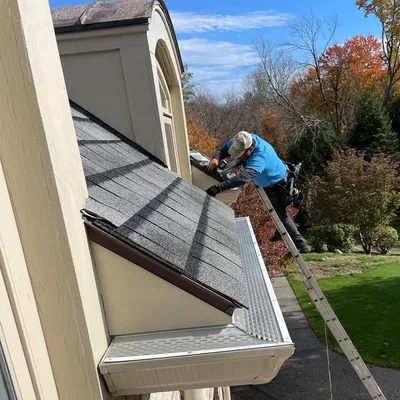 WD company Gutter cleaning and Fillter