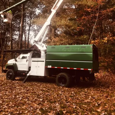 Pro Evolution Tree Service