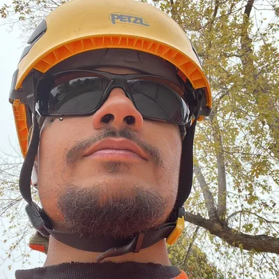 Control+X tree services