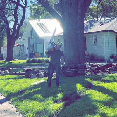 Georgetown Tree Services