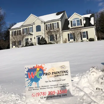 Wc pro paint service inc