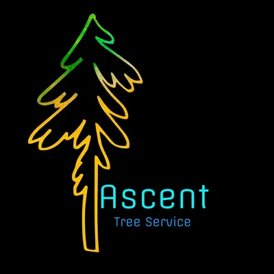 Ascent Tree Service