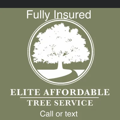 Affordable Tree Service and landscaping