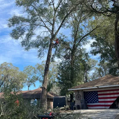 NEC Tree Service,llc