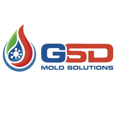 GSD Mold Solutions