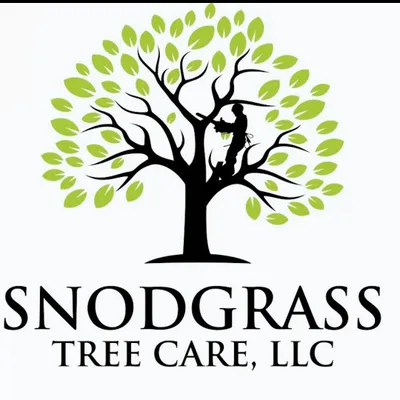 Snodgrass Tree Care, LLC.